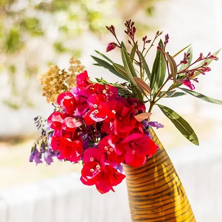 Villa Casas Barulho - Jacaranda A8 *