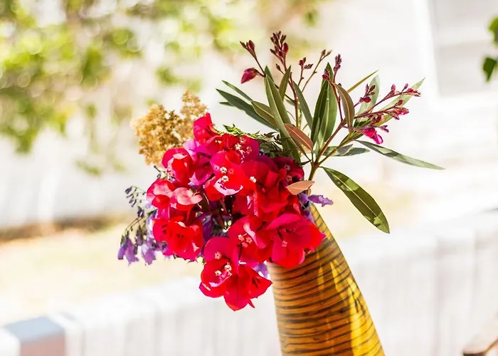 Villa Casas Barulho - Jacaranda A8 *